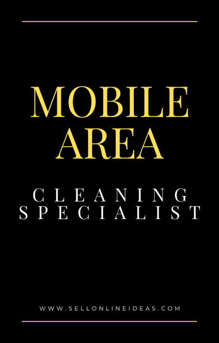 Mobile Car Cleaning Specialist
