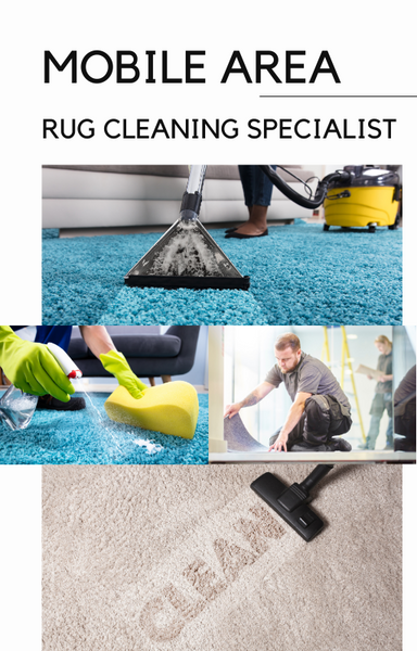 Mobile Carpet/Area Rug Cleaning Specialist