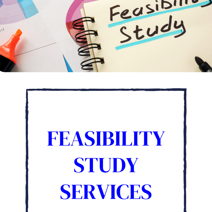 FEASIBILITY STUDY SERVICES